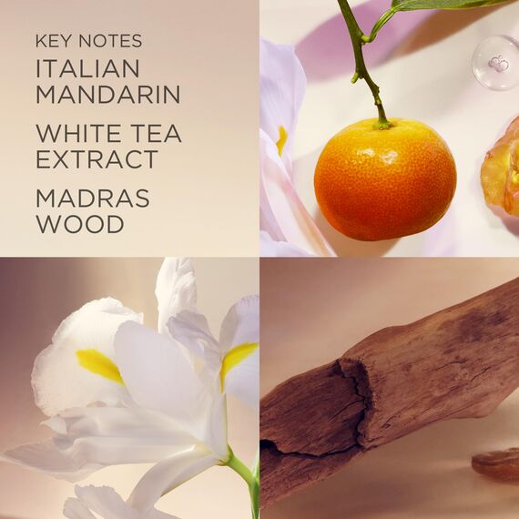 Elizabeth Arden - White Tea, Eau de Toilette Spray, Parfüm mit italienischer Mandarine, Weißer Tee-Extrakt und Madrasholz, blumig, feminin und süß, weiche Wärme, Parfüm für Damen - 50 ml