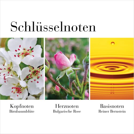 Elizabeth Arden – White Tea Wild Rose Eau de Toilette Spray, Frischer blumiger Damenduft mit Wildrosen und Birnenblüten Zart feminin und natürlich, für Leichtigkeit und Frische, 30 ml