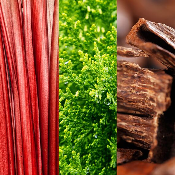 JOOP! GO Eau de Toilette