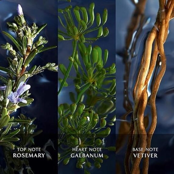 Davidoff Cool Water Reborn Eau de Toilette für Männer