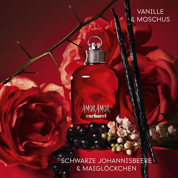 CACHAREL AMOR AMOR eau de toilette mit Zerstäuber 50 ml