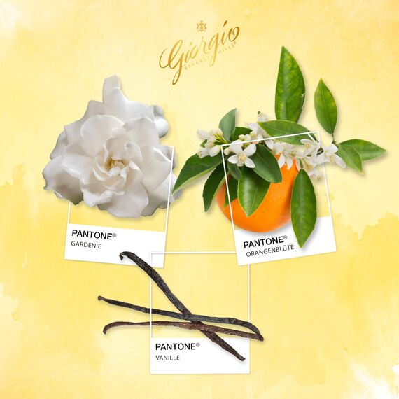 Giorgio Beverly Hills - Giorgio Yellow Eau de Toilette, feminines und elegantes Parfüm Spray, mit blumigen, frischen und leicht orientalischen Noten, holziges Aroma, Parfüm für Damen - 90 ml