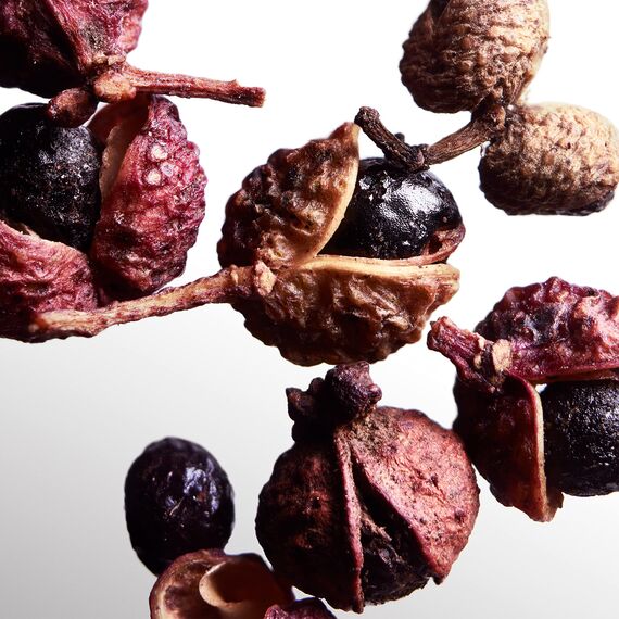 Davidoff Cool Water Wave Eau de Toilette