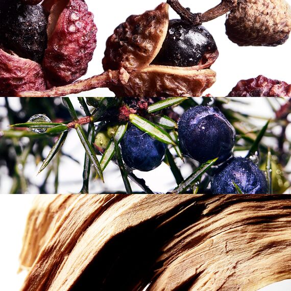 Davidoff Cool Water Wave Eau de Toilette