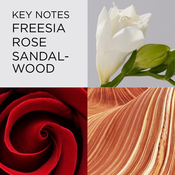 Elizabeth Arden Red Door – Eau de Toilette femme/women, klassisch-eleganter Damenduft, florales & warmes Aroma für Frauen, harmonisches Alltags-Parfüm, 30 ml