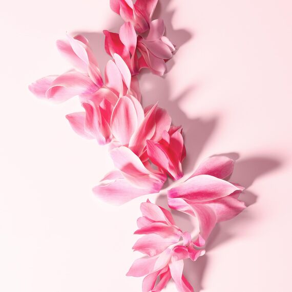 Dolce & Gabbana D&G 3 L'Imperatrice Eau De Toilette 50Ml