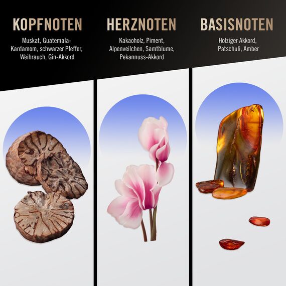 bruno banani Magic Man – Eau de Toilette Natural Spray – Charismatisch-warmes Herren Parfüm – 1er Pack (1 x 30ml)