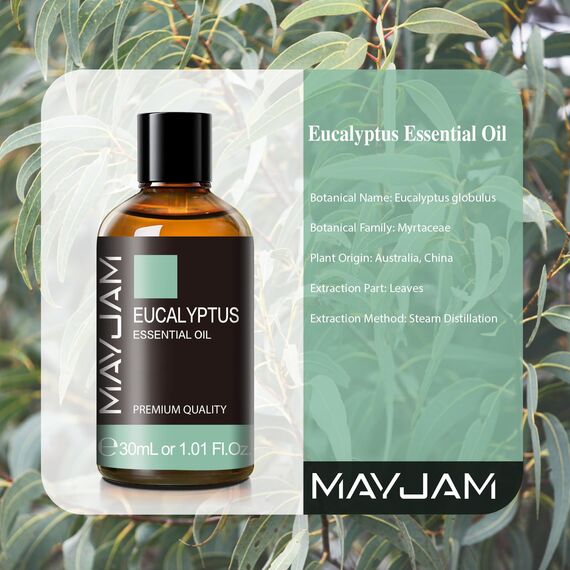 MAYJAM Eukalyptus Ätherisches Öl 30ML, Eukalyptusöl für Diffusor, Luftbefeuchter, DIY, Home，Wardrobes