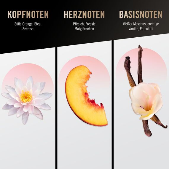 bruno banani Woman Body Splash, fruchtig floraler Duft für Sie, 250ml