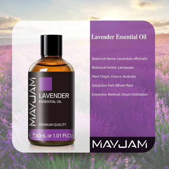 MAYJAM Lavendel Ätherisches Öl 30ML, Lavendelöl für Diffusor, Luftbefeuchter, DIY, Home，Wardrobes