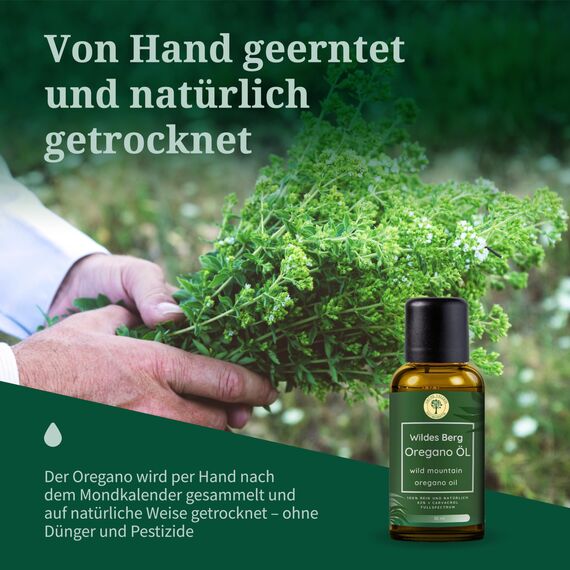 Wildes Berg Oregano Öl - 100% Naturrein mit +82% + Carvacrol - 2x 10ml (20ml) = 820 Tropfen - Naturwild aus Griechenland - Laborgeprüft