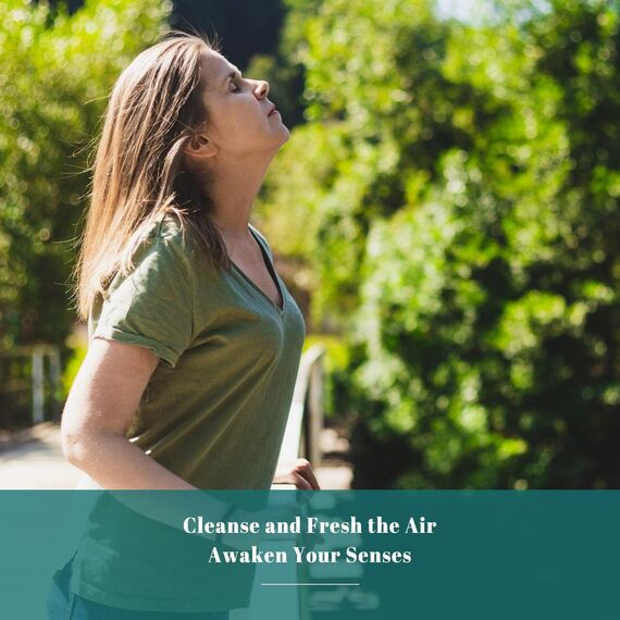 Ätherisches Öle Zitrone Eukalyptus 100ML, MAYJAM Zitrone Eukalyptusöl 100% Rein, Ideal für Reisen Aromatherapie Diffuser Duftöl Massage