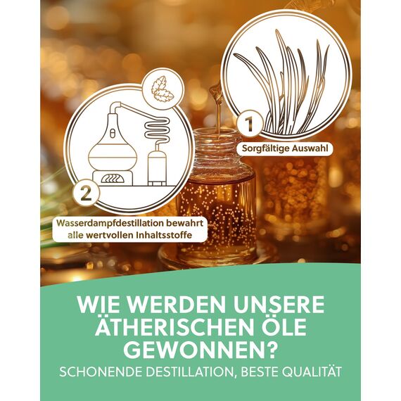 ELIXR – Eukalyptusöl zur Raumbeduftung, für Aromatherapie & als Massageöl – 100% naturreines ätherisches Öl aus Eukalyptus – zertifizierte Naturkosmetik aus Deutschland (10ml)