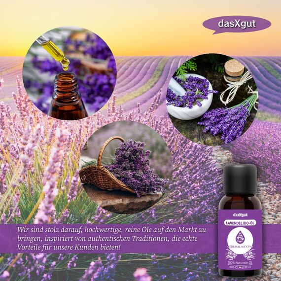 DasXgut – Lavendelöl 30 ml – [100% Naturrein] Bio öl Zertifiziertes Lebensmittel – Ätherische Öle – für Diffusor – Duftöl – Aromatherapie – Lavandula Angustifolia Der Echte Lavendel E5004111 BG-BIO-02