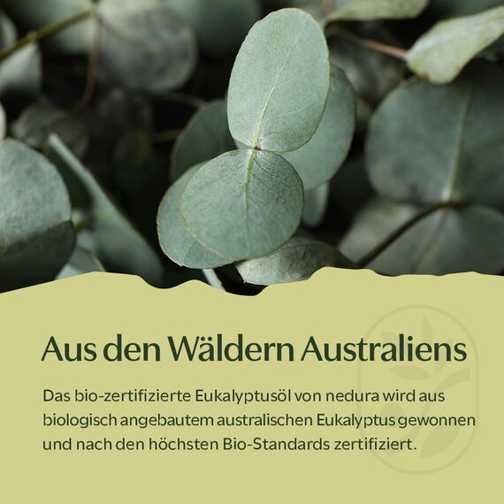 nedura® BIO Eukalyptusöl [100% NATURREIN] - Hochdosiertes Ätherisches Eucalyptus Oil - Frisch & belebend - für Aromatherapie, Duftlampe, Diffusoren, Raumduft - Eucalyptus Oil - 30 ml