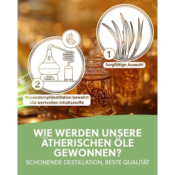 ELIXR – Chinesisches Minzöl zur Raumbeduftung, für Aromatherapie & als Massageöl – 100% ätherisches Öl aus Minzblättern mit intensivem Duft – zertifizierte Naturkosmetik aus Deutschland (10 ml)