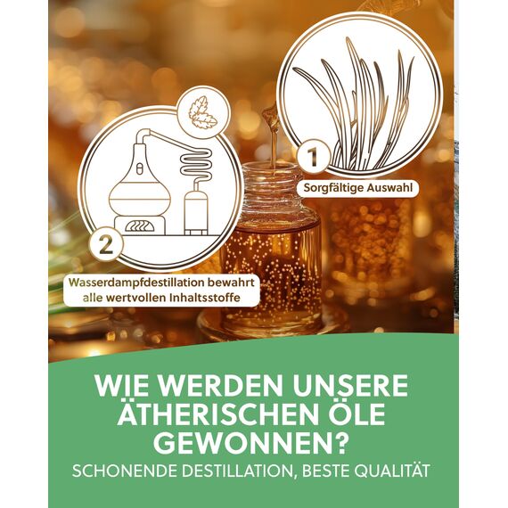 ELIXR – Japanisches Minzöl zur Raumbeduftung, für Aromatherapie & als Massageöl – 100% naturreines ätherisches Öl aus Japanischer Minze – zertifizierte Naturkosmetik aus Deutschland (10ml)