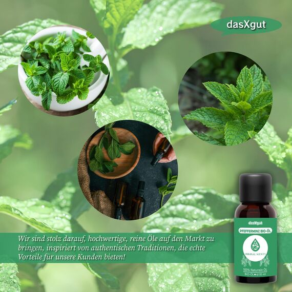 DasXgut – Pfefferminzöl 30 ml – BIO zertifiziert zum Verzehr – Reines öl aus Griechenland – ätherische Öle – Duftöl Diffuser – Zertifiziertes Lebensmittel [100% NATURREIN] E5004113 BG-BIO-02