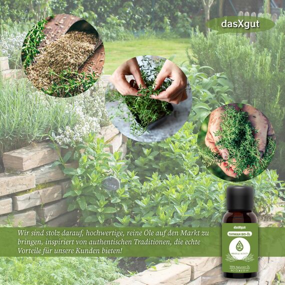 DasXgut - BIO Thymianöl 30 ml [100% NATURREIN] Zertifiziertes Lebensmittel zum Einnehmen - aus Griechenland - Ätherische Öle Thymian - Tyhme Oil E5004118 BG-BIO-02