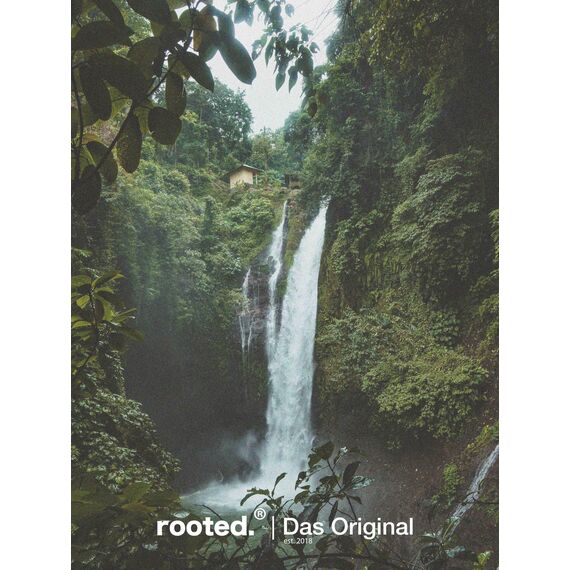 rooted.® Bio Nelkenöl 10ml [100% NATURREIN] - Echte Gewürznelke - Eugenia Caryophyllus - Ätherisches Öl für Aromatherapie, Duftlampe, Diffusoren, Raumduft, Duftkerzen und -Seifen