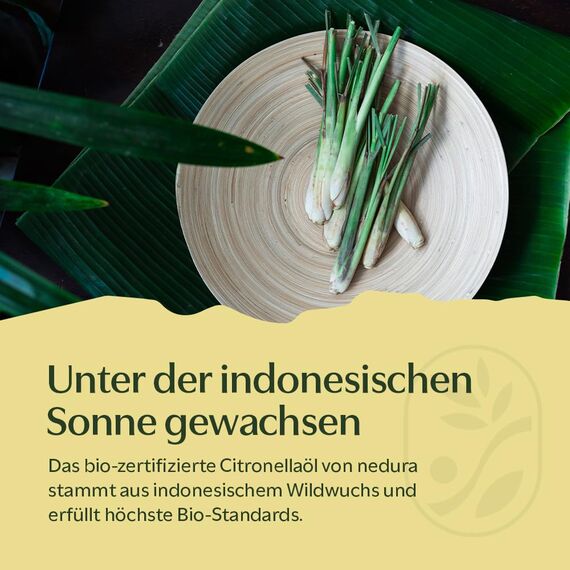 nedura® BIO Citronellaöl [100% NATURREIN] - Echtes Citronella Öl, erfrischend & belebend - Ätherisches Öl, Citronella Oil - für Aromatherapie, Raumduft - 30ml