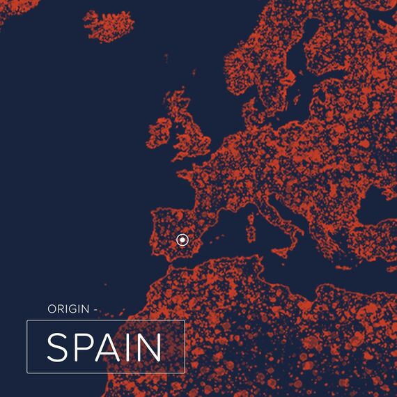 Naissance Rosmarinöl (Nr. 108) - 100ml - 100% Naturreines Rosmarin Ätherisches Öl für Naturkosmetik - Haare Wachstum, Aromatherapie, Duftlampe - Duftöl für Aroma Diffuser