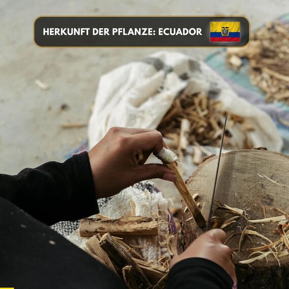 Premium reines natürliches Palo Santo Öl – 100 % pures ätherisches Öl, BIO, organisch – zur Herstellung ätherischer Öle, Kerzen, Seifen, DIY – Palo Santo Essence 1L, Aromaholik