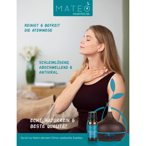 MateoEssentialOils – 100% Reines Eukalyptusöl – Natürlich & Erfrischend – Ideal für Aromatherapie, Raumduft, Hautpflege & Diffuser – Eukalyptus - 10 ml.
