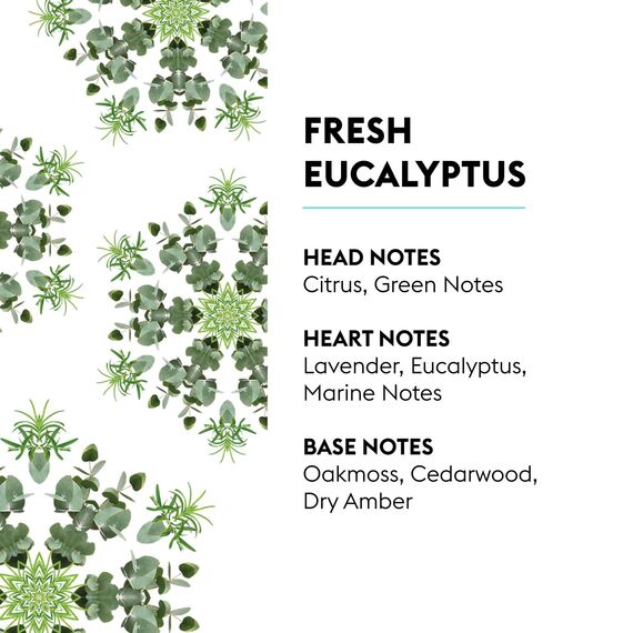 Lampe Berger Raumduft Nachfüllpack Fraîcheur d'Eucalyptus / Frischer Eukalyptus 1 L