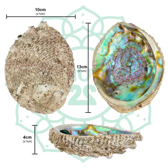 MUT22 Räucherset mit Stativ, Palo Santo, Weißer Salbei, Wüstensalbei, Ruda, Abalone-Schale - Komplettset zur Reinigung und Harmonisierung