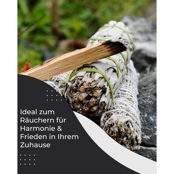 Palo Santo Weißer Salbei Räucherset: 2X Weißer Salbei zum Räuchern, 4X Palo Santo Räucherholz - Perfekt für Reinigungsrituale und Aromatherapie