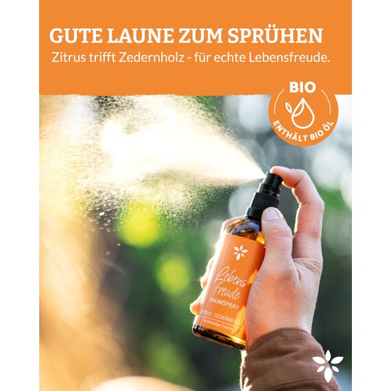 Heldengrün® Raumspray Zitrone "Lebensfreude" [ECHTE BIO-ÖLE] Dermatologisch getestet - Bio Raumduft für lebendige Frische - Textil Duftspray mit Zitrus & Zedernholz - 2 x 100 ml