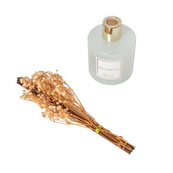 Cocorrína Raumduft Reed Diffuser mit 8 Duftstäbchen 200ml - Weiße Kiefer, Natürlich, Langanhaltend, Home Duft ätherisches Öl Reed Diffusor für Badezimmer Regal Dekoration