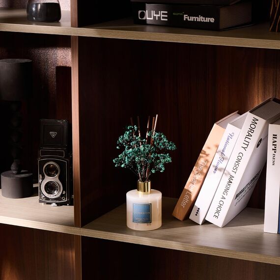 COCORRÍNA Raumduft Reed Diffuser mit 8 Duftstäbchen 200ml, Cashmere Vanilla, 2 Pack, Natürlich, Langanhaltend, Home Duft für Badezimmer Regal Dekoration