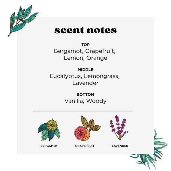 Pourri Lufterfrischer Spray für Bad und WC - Lavendel-Vanille Duft - zur Anwendung vor dem Toilettengang - bindet Gerüche bereits im Wasser - pflanzenbasiertes Spray mit ätherischen Ölen - (59 ml)