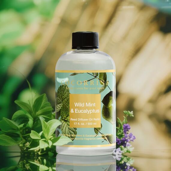 COCORRÍNA Raumduft Nachfüller 500ml mit 8 Duftstäbchen, Wild Mint & Eucalyptus, Langanhaltender Duft mit natürlichen ätherischen Ölen, für Wohnzimmer, Schlafzimmer und Badezimmer