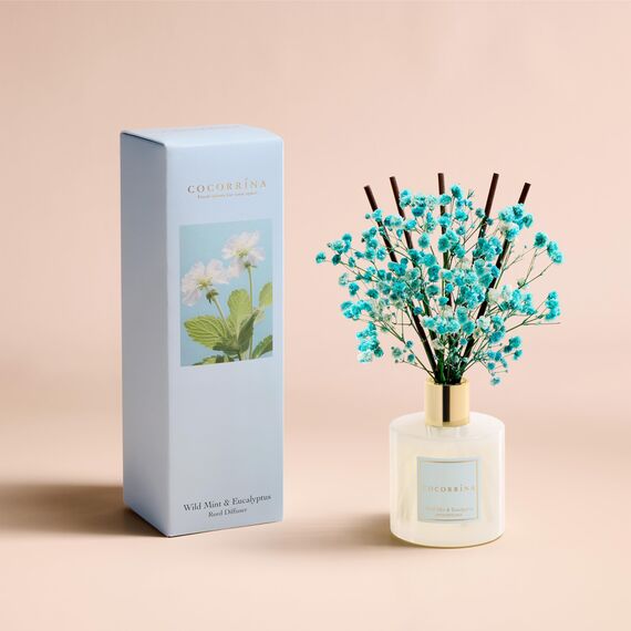 COCORRÍNA Raumduft Reed Diffuser mit 8 Duftstäbchen 200ml, Wild Mint & Eucalyptus, Natürlich, Langanhaltend, Home Duft ätherisches Öl Reed Diffusor für Badezimmer Regal Dekoration