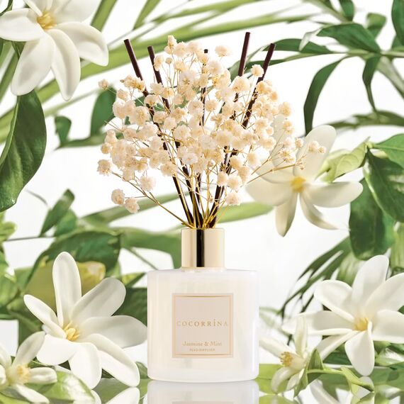 COCORRÍNA Raumduft Reed Diffuser mit 8 Duftstäbchen 200ml, Jasmine & Mint, Natürlich, Langanhaltend, Home Duft ätherisches Öl Reed Diffusor für Badezimmer Regal Dekoration