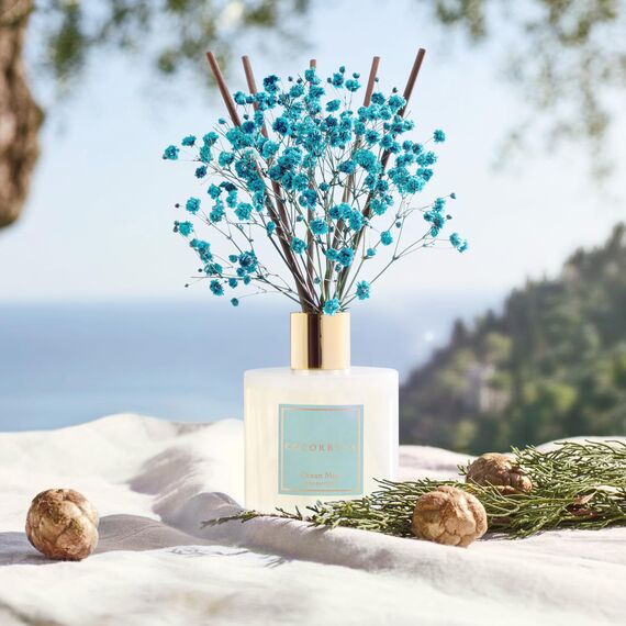 COCORRÍNA Raumduft Reed Diffuser mit 8 Duftstäbchen 200ml, Ocean Mist, Natürlich, Langanhaltend, Home Duft ätherisches Öl Reed Diffusor für Badezimmer Regal Dekoration