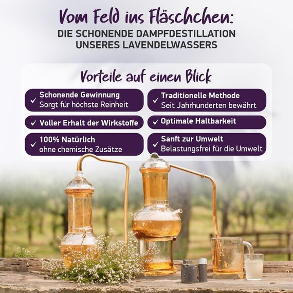 LAVENDELSPRAY für Kopfkissen BIO - 200ml [BIO-ZERTIFIZIERT] 100% NATURREIN Aus Echtem Lavendel | 100% Natürlich - Ohne Zusatzstoffen & Frei von Alkohol - Bio Lavendelwasser
