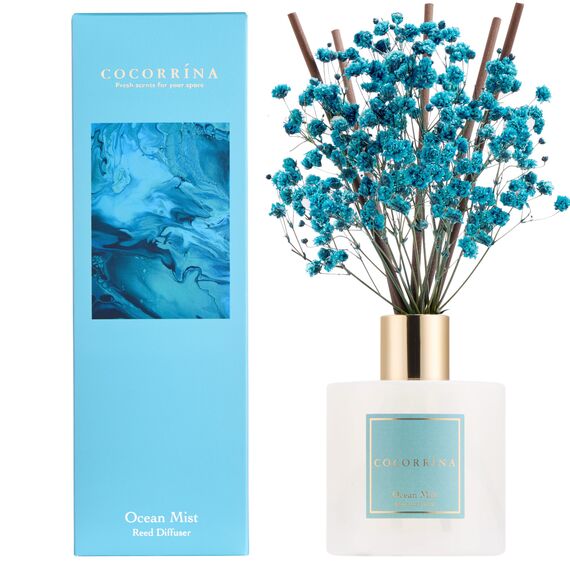 COCORRÍNA Raumduft Reed Diffuser mit 8 Duftstäbchen 200ml, Ocean Mist, Natürlich, Langanhaltend, Home Duft ätherisches Öl Reed Diffusor für Badezimmer Regal Dekoration