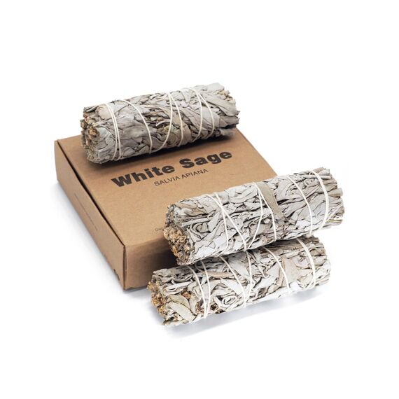rooted.® | Das Original | Weißer Salbei | 3 Bündel kallifonirscher Salbei | Premium Smudge Sticks | Indianischer Räuchersalbei | 100% kontrollierte und nachhaltige Ernte