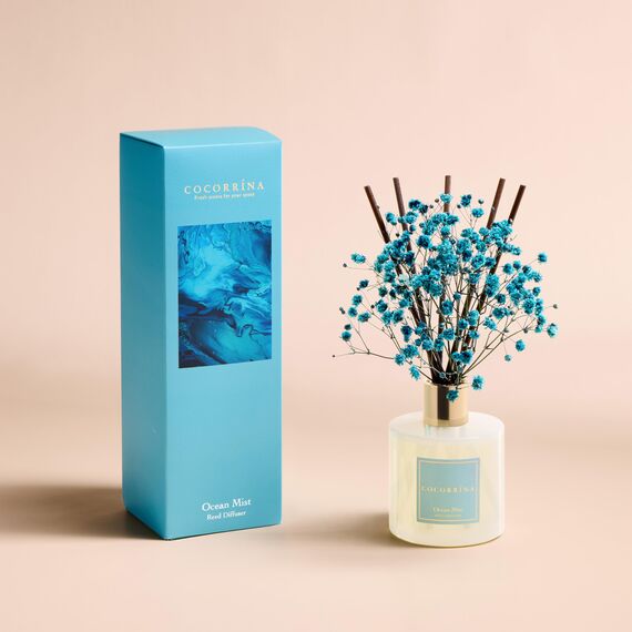 COCORRÍNA Raumduft Reed Diffuser mit 8 Duftstäbchen 200ml, Ocean Mist, Natürlich, Langanhaltend, Home Duft ätherisches Öl Reed Diffusor für Badezimmer Regal Dekoration