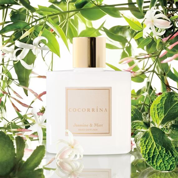COCORRÍNA Raumduft Reed Diffuser mit 8 Duftstäbchen 200ml, Jasmine & Mint, Natürlich, Langanhaltend, Home Duft ätherisches Öl Reed Diffusor für Badezimmer Regal Dekoration