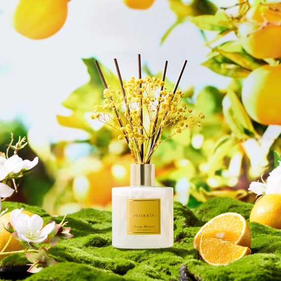 COCORRÍNA Raumduft Orange Blossom, 200ml Reed Diffuser mit 8 Duftstäbchen, Lufterfrischer für Badezimmer, Wohnung, Heimdekoration