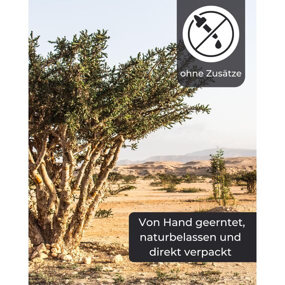 Incensera Weihrauch zum Räuchern 500 gr aus Äthiopien, Eritrea Boswellia papyrifera Räucherharz naturreines Räucherwerk Kirchenqualität Incense Weirauch Harz räuchern Frankincense Kirchenweihrauch