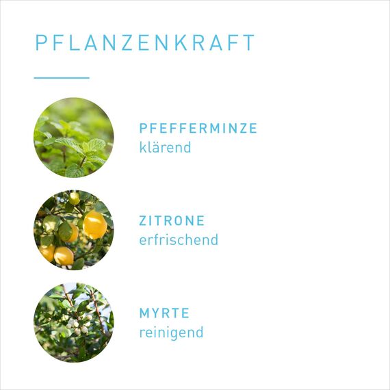 PRIMAVERA Raumspray Frische Luft bio 50 ml - Pfefferminze, Zitrone und Myrte - Aromadiffuser, Aromatherapie - klärend - vegan