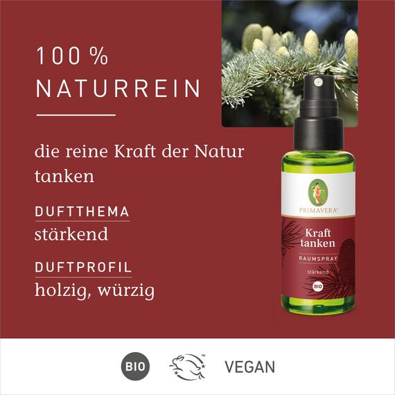 PRIMAVERA Raumspray Kraft tanken bio 50 ml - Zeder, Kardamom und Bergamotte - Aromadiffuser, Aromatherapie - stärkend - vegan
