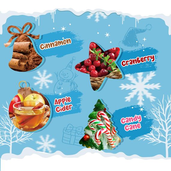 SALKING Winter Duftwachs Wax Melts für Duftlampe, 100% Sojawachs Raumduft Duftkerze, Wax Melts für Kerzen Wärmer, Weihnachtskranz und Lebkuchen Düfte Geschenk Set für Halloween, Weihnachten, 8 Düfte