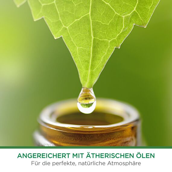 Air Wick Freshmatic Max Raumspray DUO – Nachfüller für den Air Wick Freshmatic Max – Duft: Cotton und Weißer Flieder – 2 x 250 ml Nachfüller Raumduft und Lufterfrischer